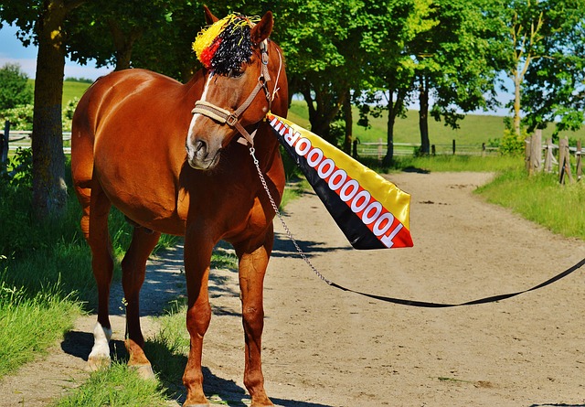 两队在常规 两队在常规