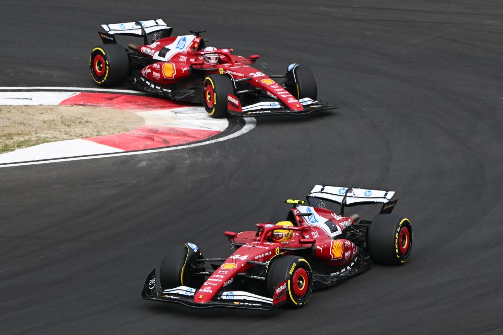 部组织的慈 部组织的慈