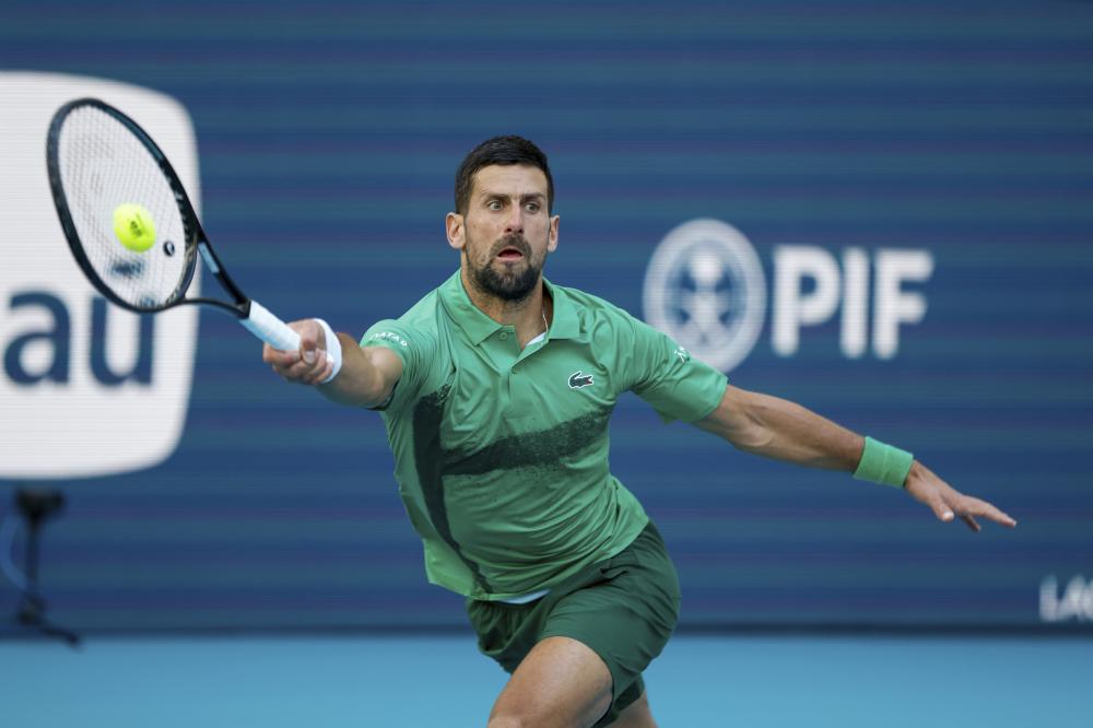 然也更加激 然也更加激