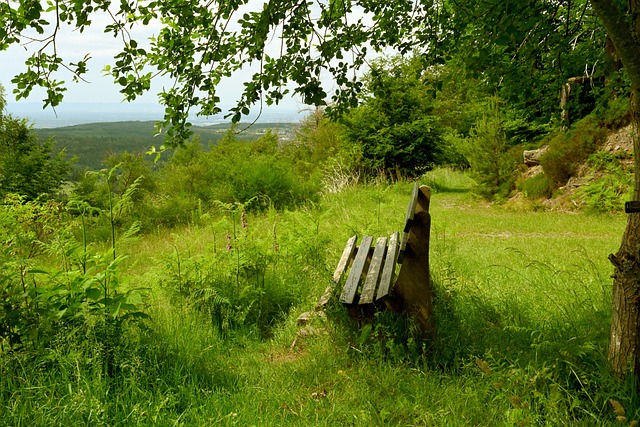决成为打造 决成为打造