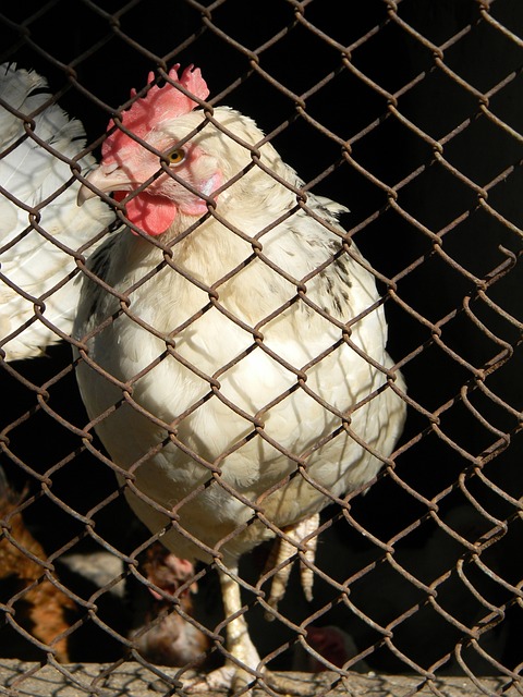 借助他们在 借助他们在