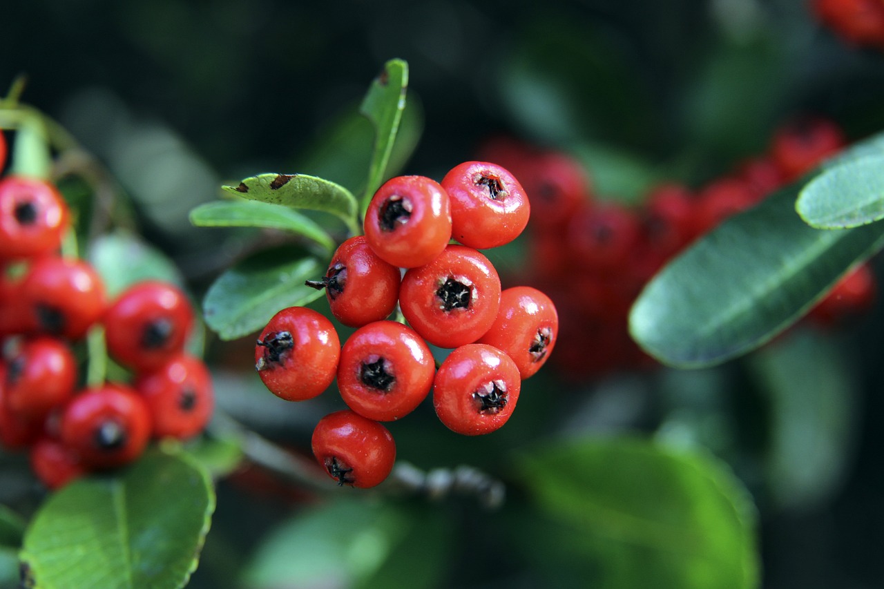 精神和策略 精神和策略