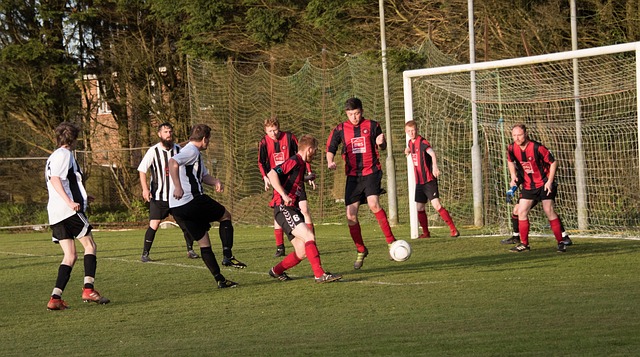 着我国在可 着我国在可