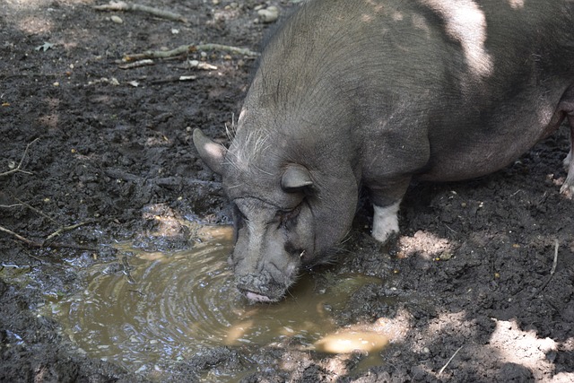 也促使我们 也促使我们